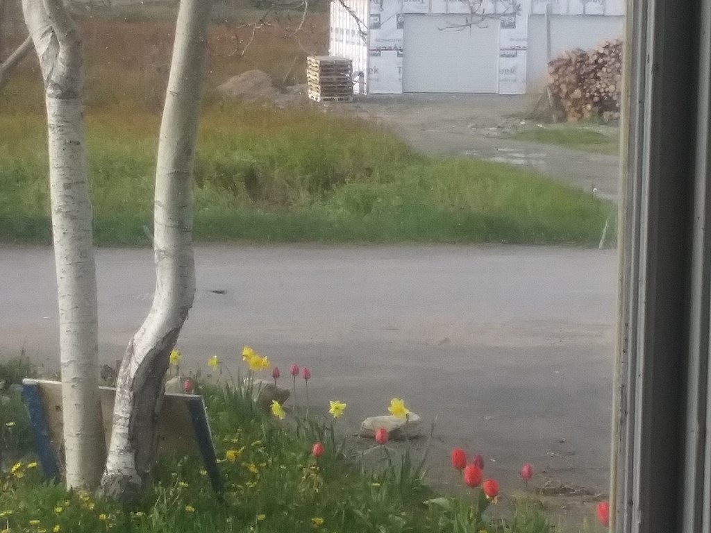 Christopher Greaves SecondEssays_20240606_181042.jpg